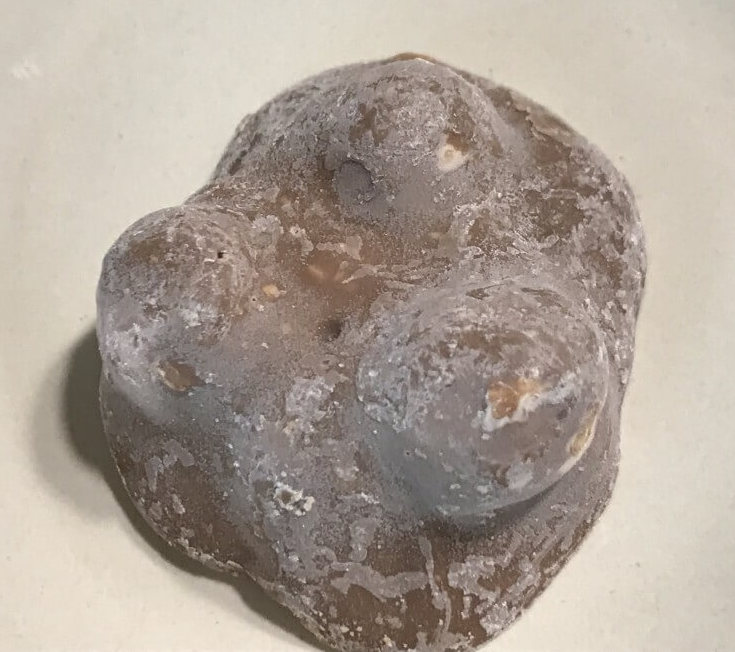 헤이즐넛 초콜릿