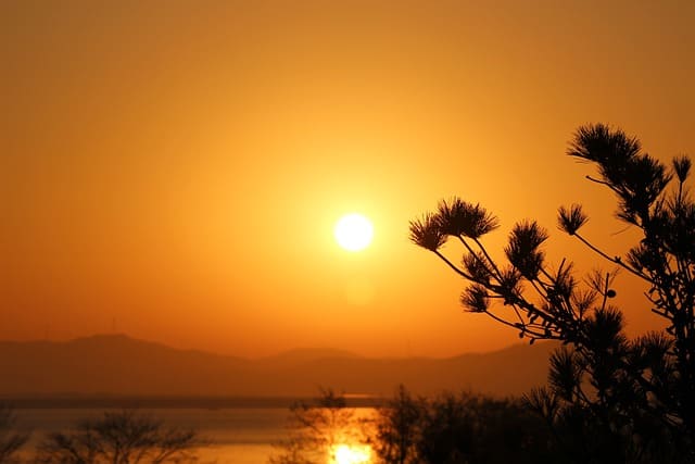 2025년 복삼재띠