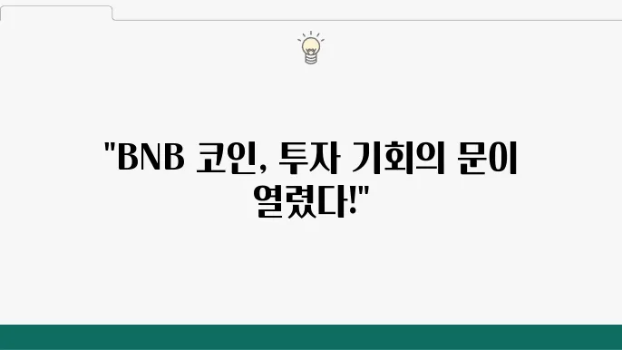 BNB 코인 개요