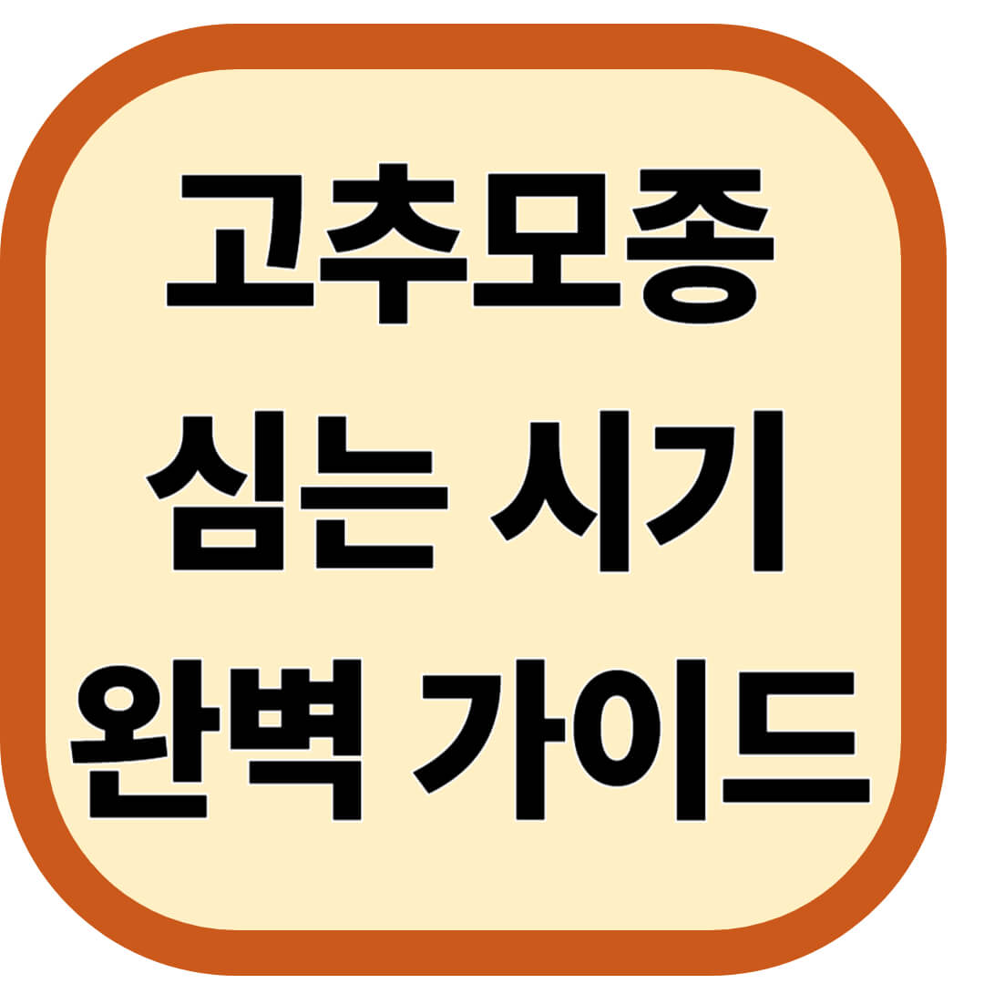 고추모종 심는 시기 완벽 가이드