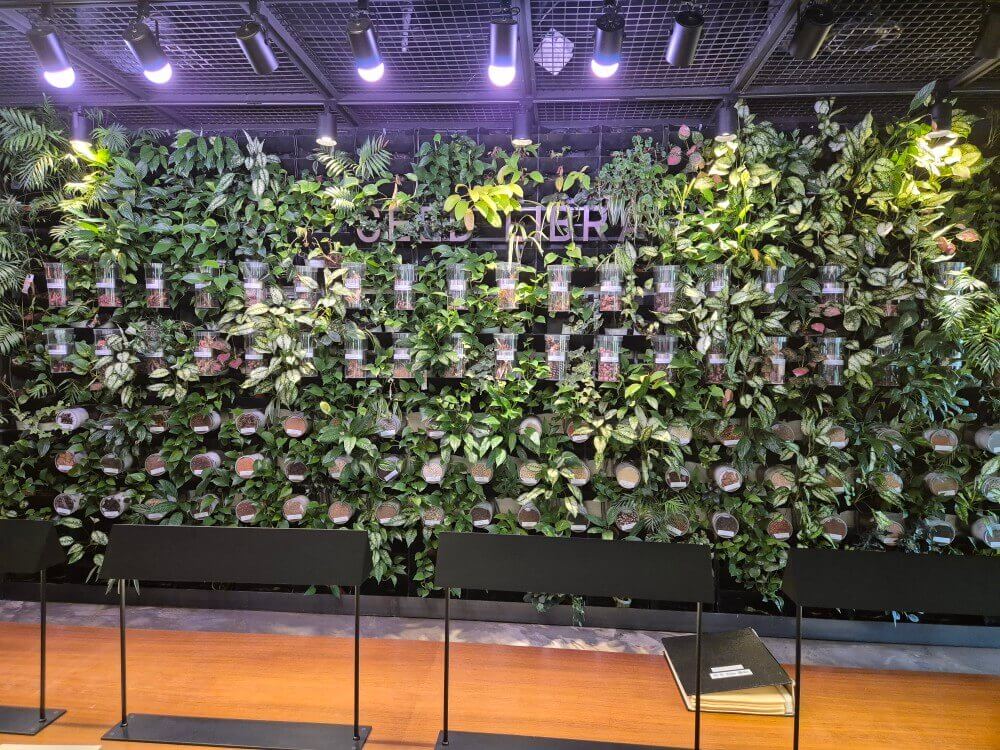 씨앗 박물관 전시물5