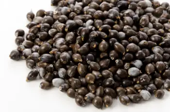 율무 효능 및 영양성분, 부작용