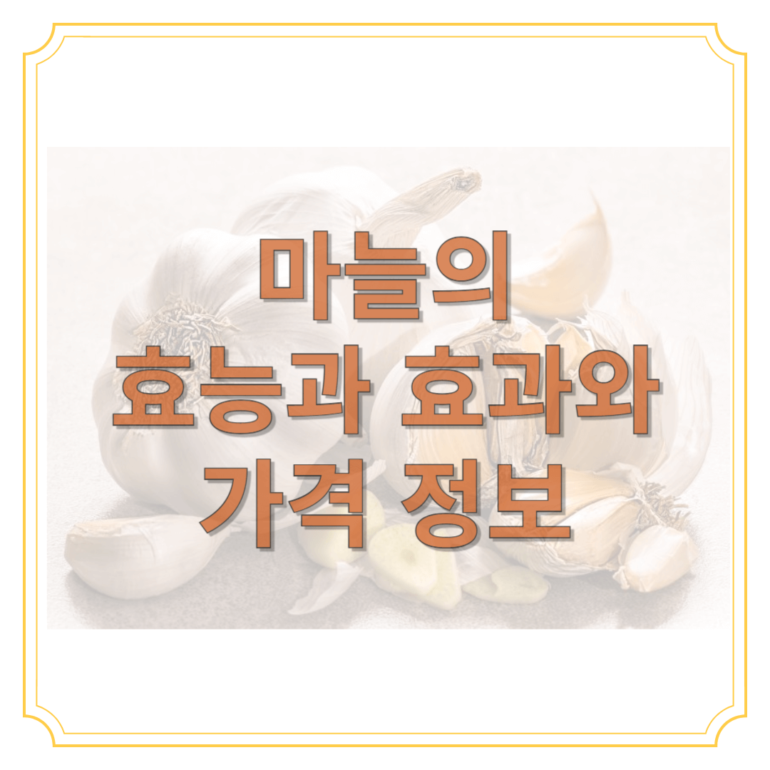 마늘의 효능과 효과와 가격 정보