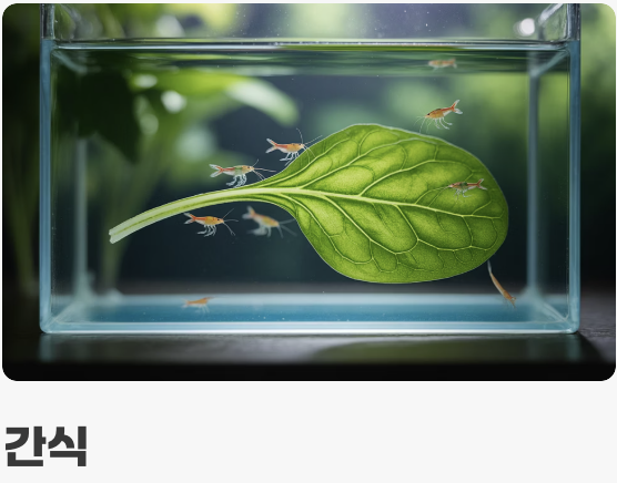 소식하는 미식가 (먹이 가이드)