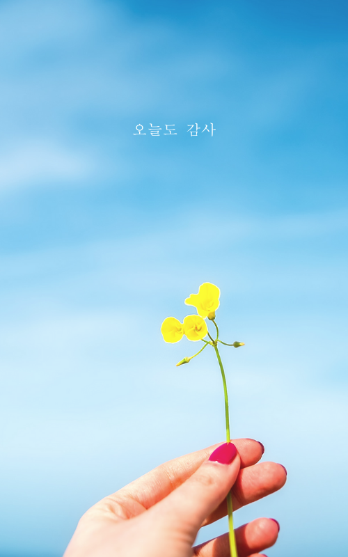 카톡 배경화면 사진 이미지 카카오톡 배경화면 바꾸기 무료 이미지 모음