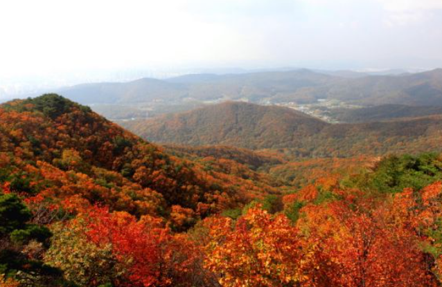 2025 경기도 단풍 명산 BEST ❘ 북한산·남한산성·광교산 등 추천 코스