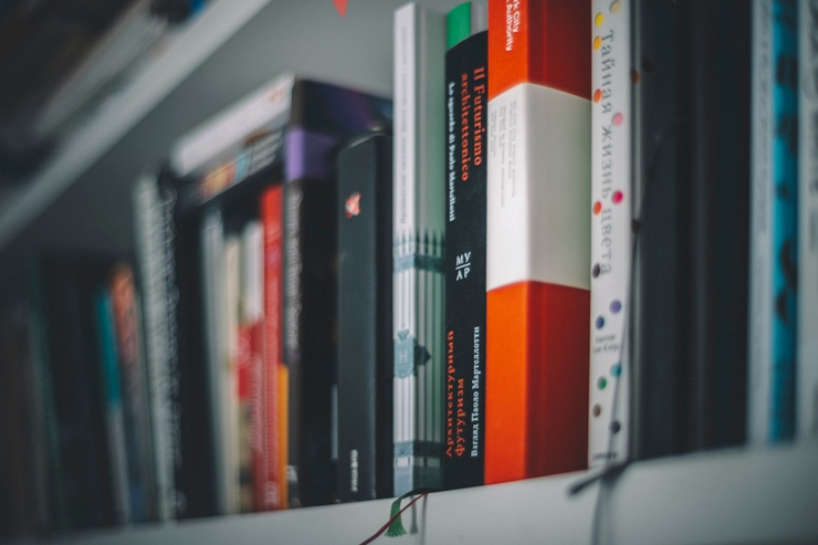 블로그 순위 상승을 위한 숨겨진 이론(2022년) 대표 이미지