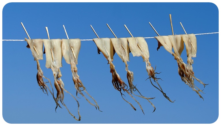 오징어가 건강에 미치는 긍정적인 영향