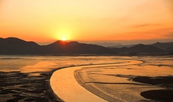 순천여행 - 순천만습지 사진