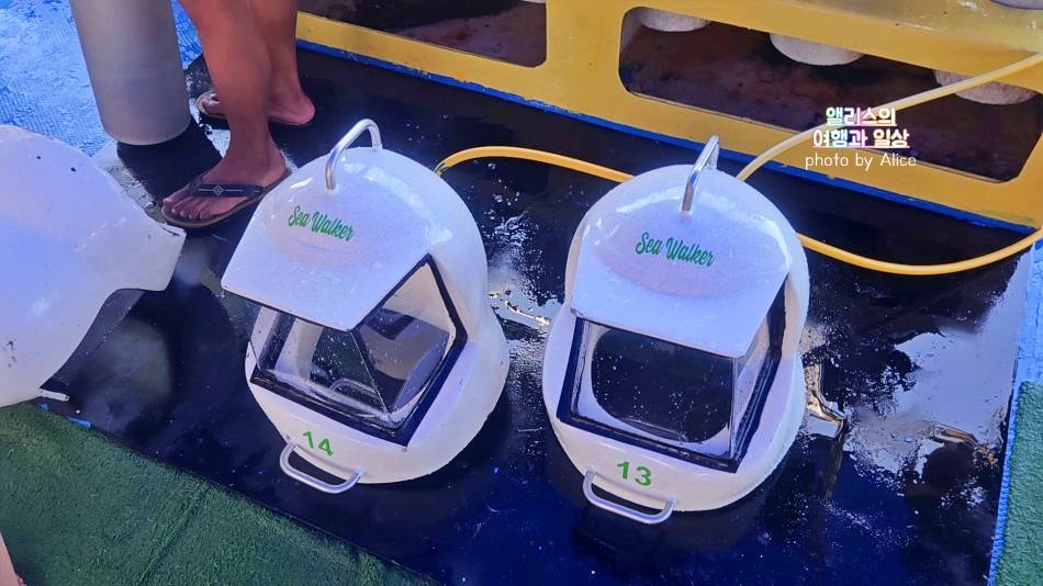 코타키나발루 씨워킹 사피섬 & 마누칸섬 투어 추천 예약 후기