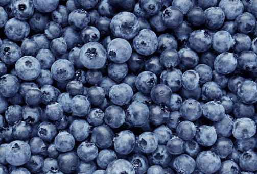 블루베리 효능과 가격, 최저가 구매 방법