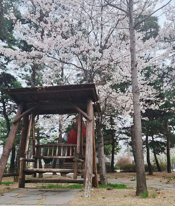 보물섬 물놀이장