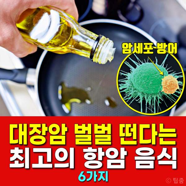 대장암에 좋은 음식,올리브오일 효능,생로병사의비밀