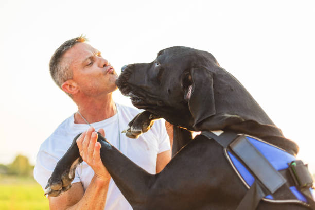 강아지가 주인을 핥는 이유 5가지와 대처방법