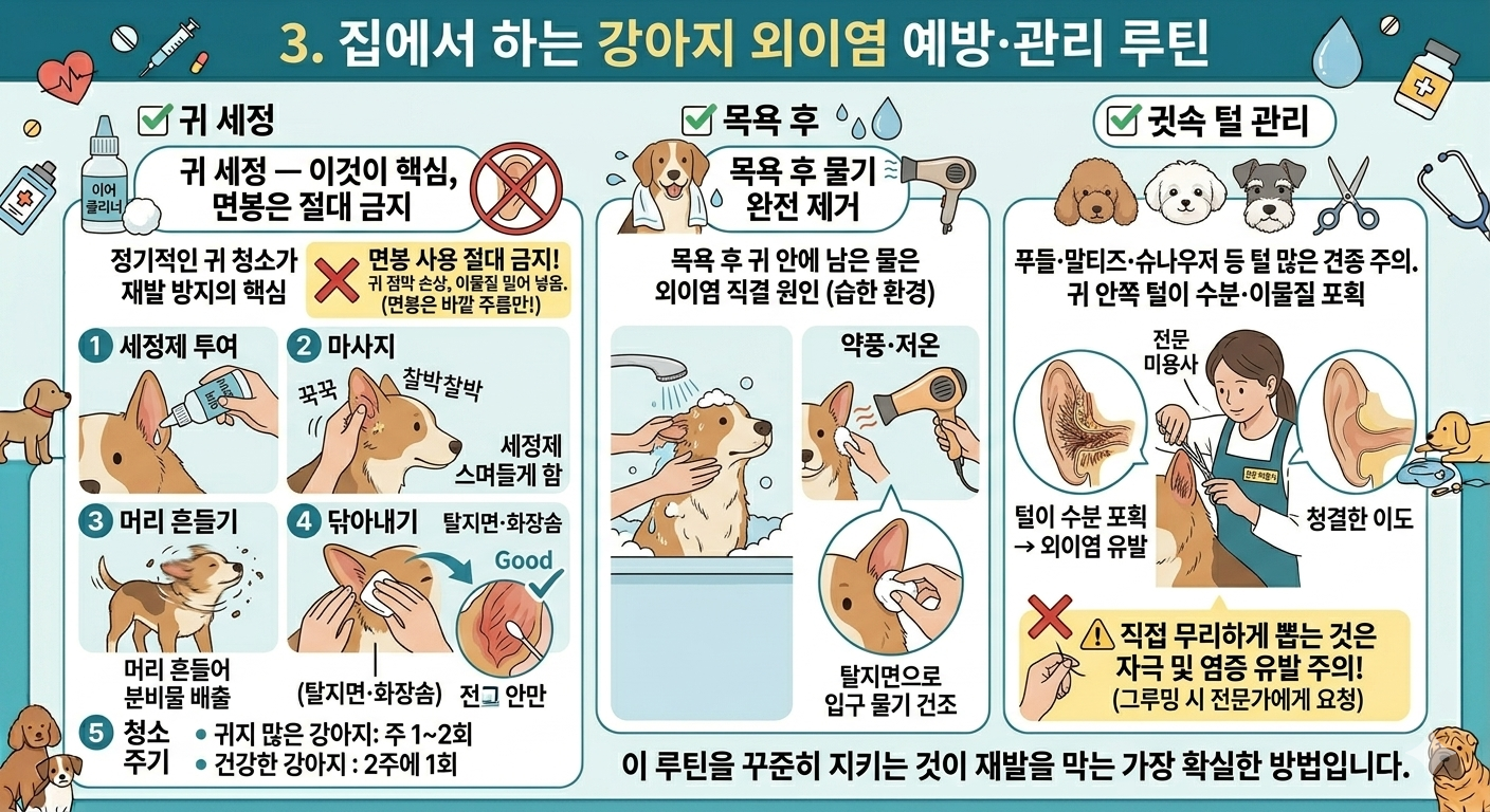 집에서 하는 강아지 외이염 에빵 및 관리법