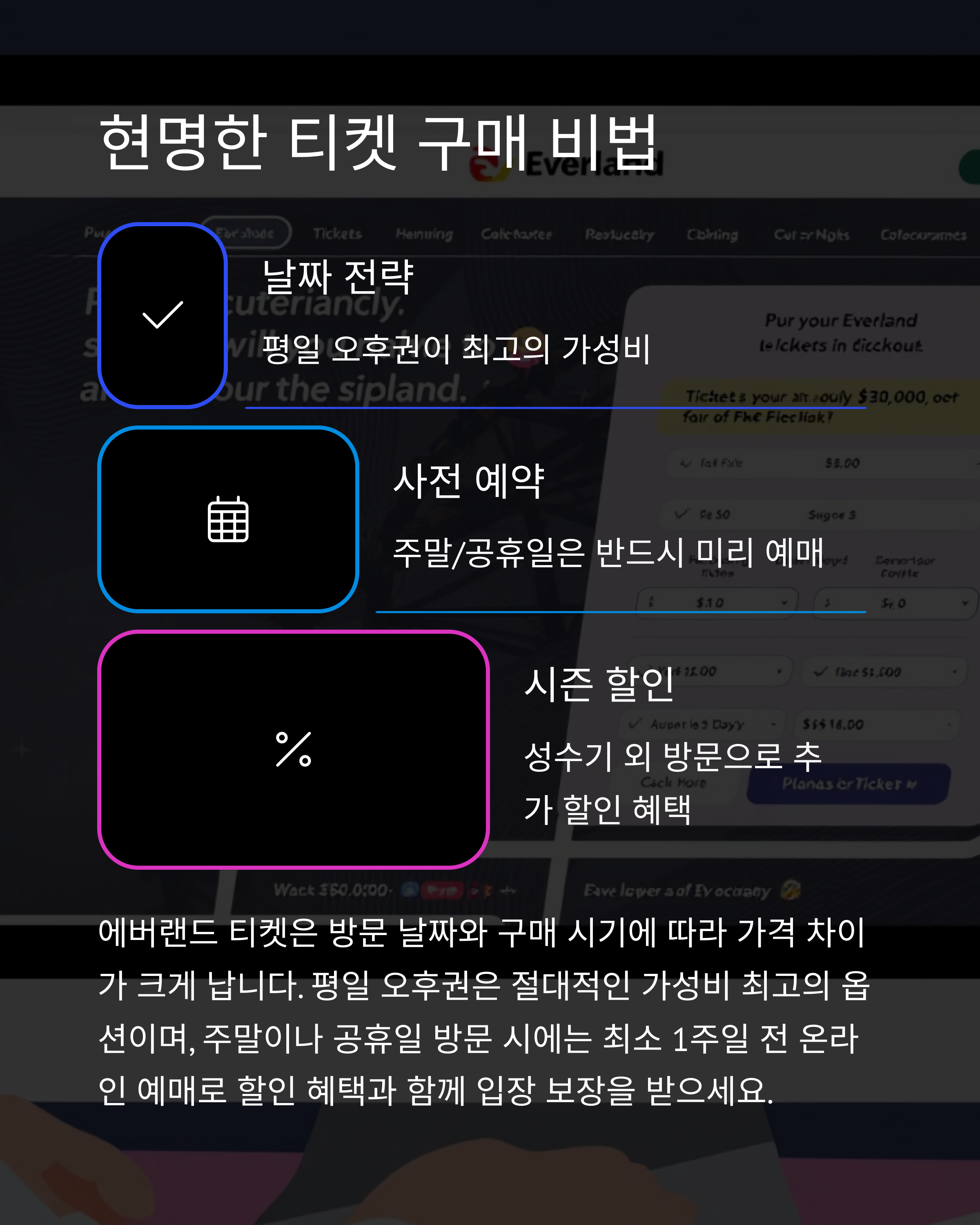 에버랜드 자유이용권 종일권 vs 오후권, 어떤 게 더 이득