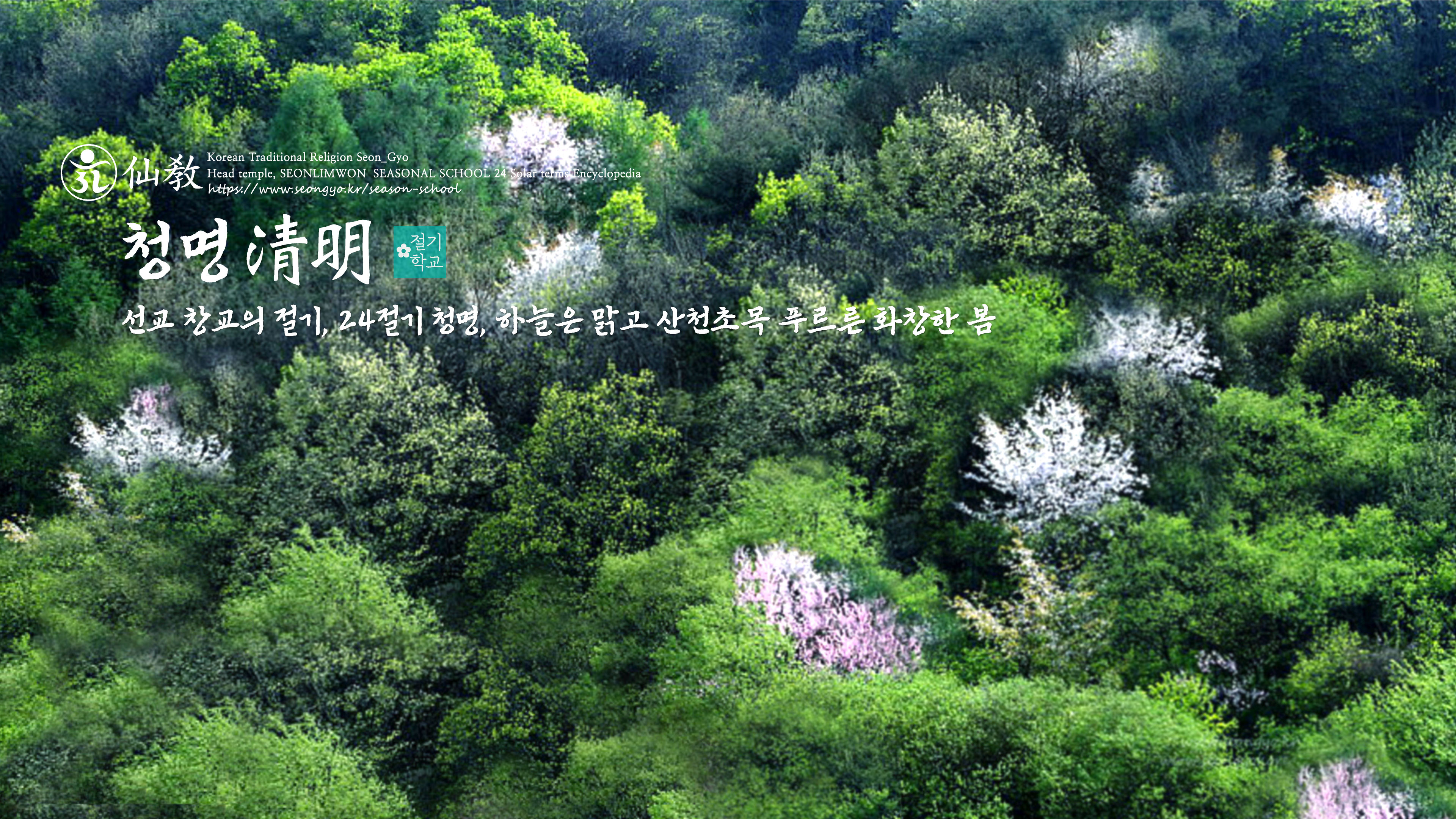 신성의 숲, 선교총림 선림원, 천지인 명상, 숲명상, 24절기, 청명