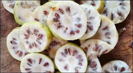 노니를 통으로 슬라이스 한 모습