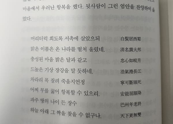 뒷사람이 엄안을 찬양하는 시 내용