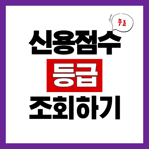 신용점수 등급 확인