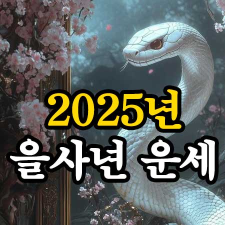 2025년 을사년 운세 썸네일