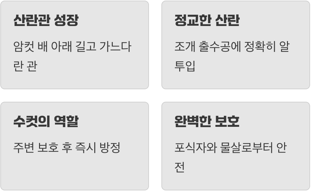 생명을 건 아슬아슬한 탁란