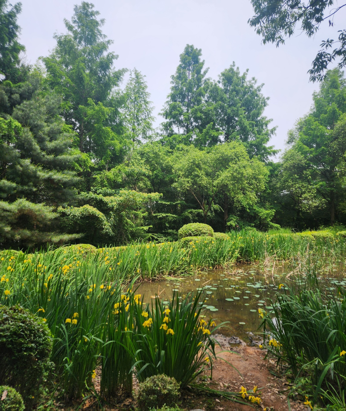 고양시 정발산 생태학습원 어싱 로드