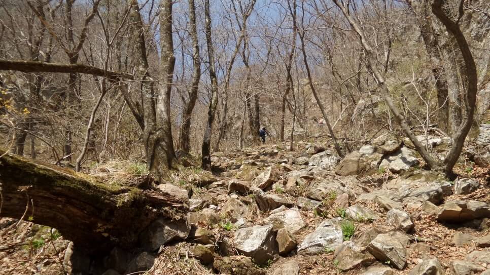 100대 명산 등산하기 서른세번째 제천 금수산 비경과 전설이 살아 숨 쉬는 충북의 대표 명산
