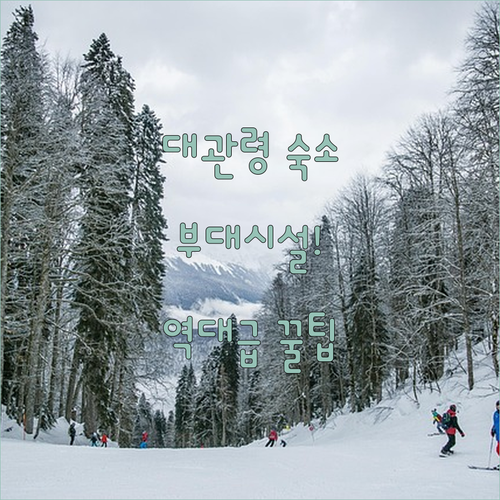 가족 여행에 좋은 평창 대관령 추천 ..