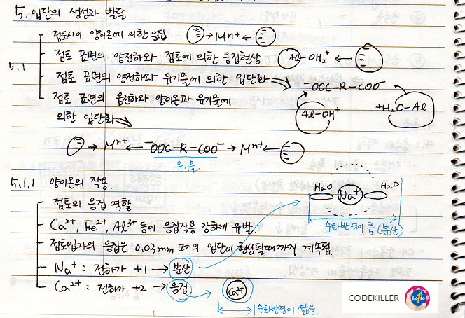 입단의 생성과 발달