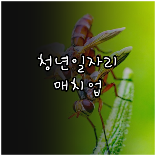경기도 청년 일자리 매치업 2025:..