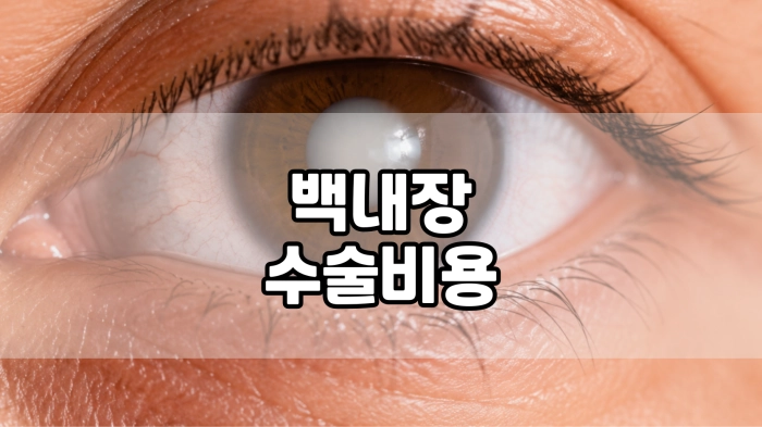 백내장 수술비용