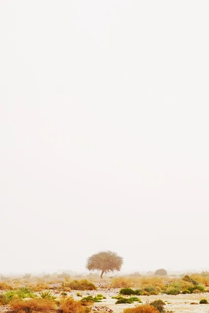 진도 가볼만한 곳 BEST 5 진도 5일장부터 케이블카로 추천_5