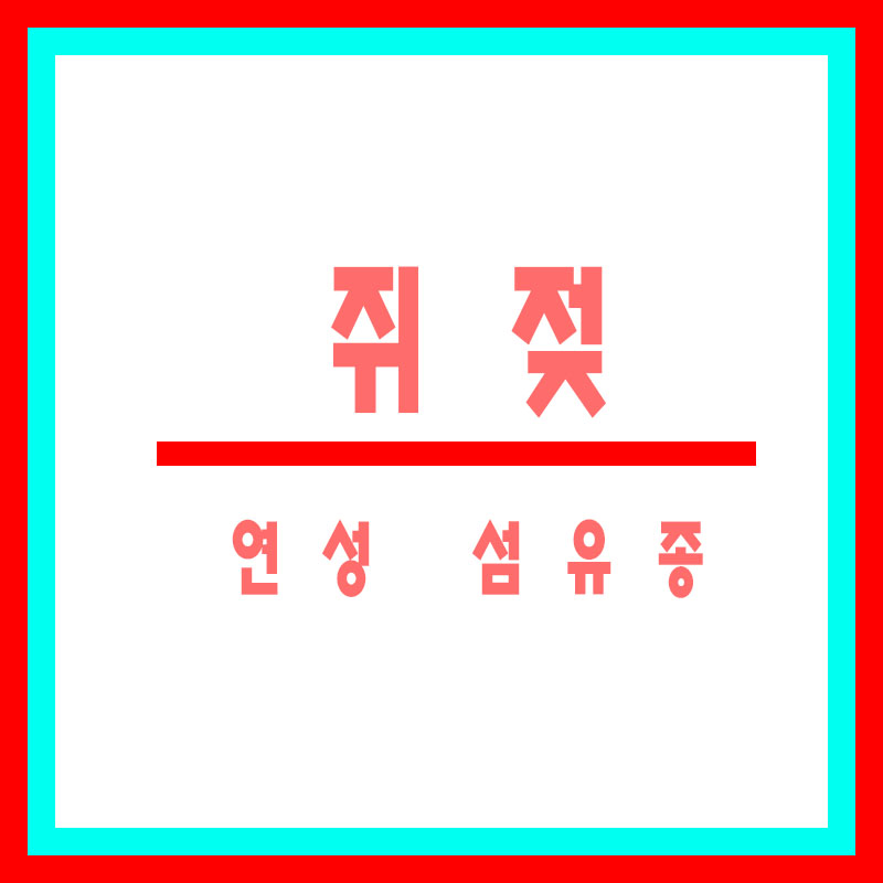 쥐젖-연성 섬유종