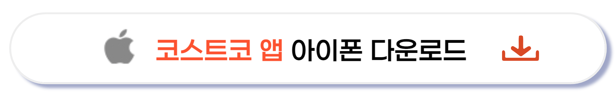 코스트코 아이폰 다운로드