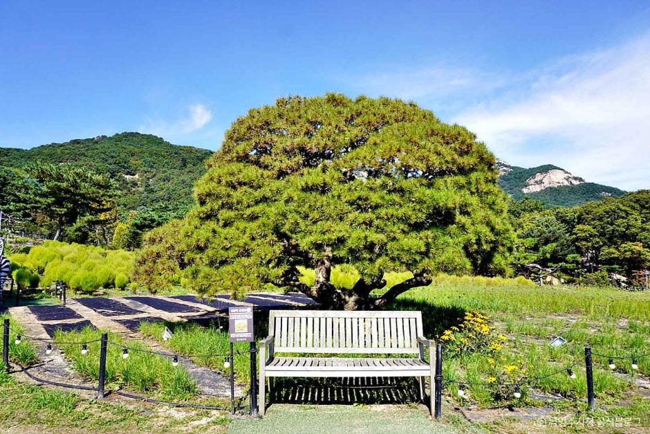 남양주 가볼만한곳 베스트10