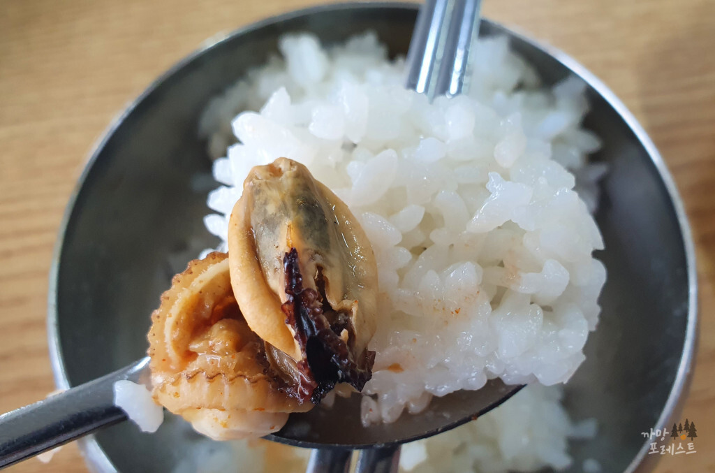 제주 용두암 해촌 조개