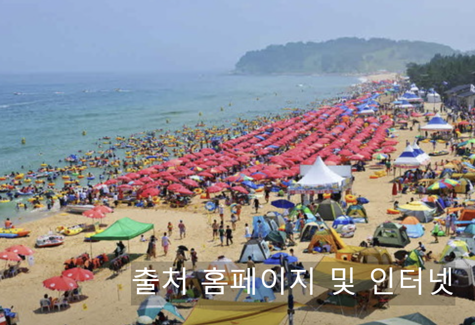 속초 여행코스 추천 나솔사계 촬영지 상도문마을 복돌네 훼미리 민박 돌담 카페 여행