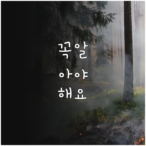 제주 장애인 2025 운전면허 교육비..