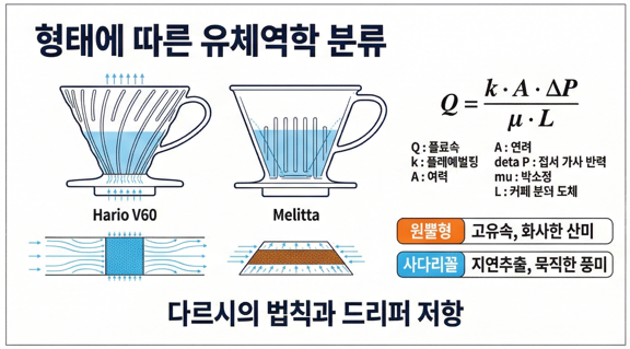 형태에 따른 정밀 분류