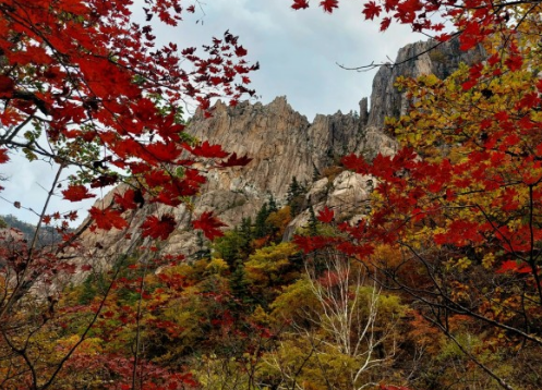 가을에 꼭 가야하는 단풍이 유명한곳 BEST 5곳