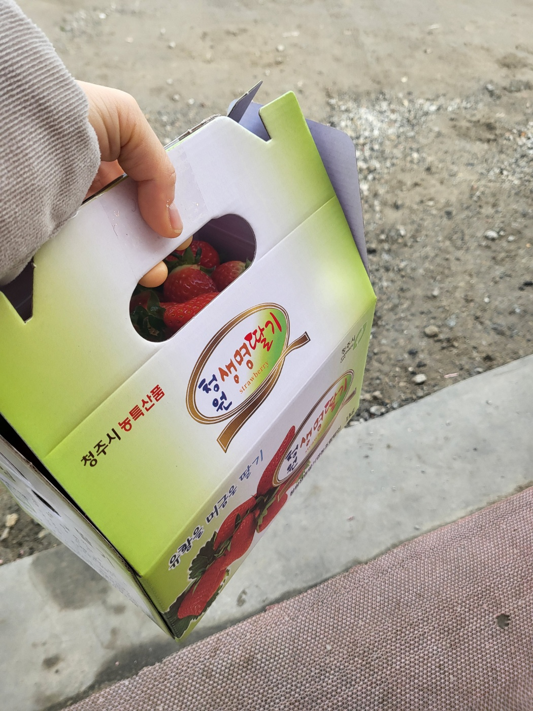 청주딸기, 남일면 가산리 딸기 (싱싱딸기)