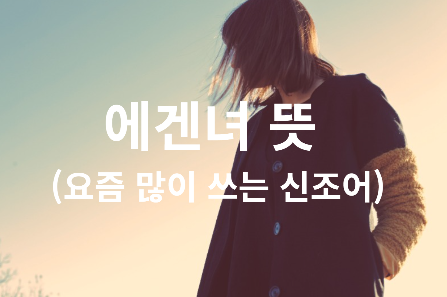 에겐녀 뜻 (요즘 많이 쓰는 신조어)