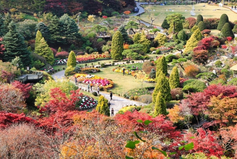 아침고요수목원
