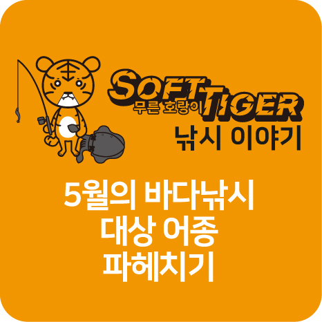 5월 바다낚시 대상 어종 title
