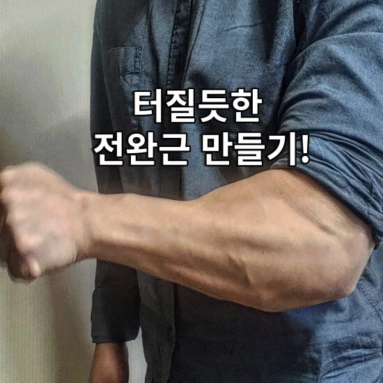 전완근만들기