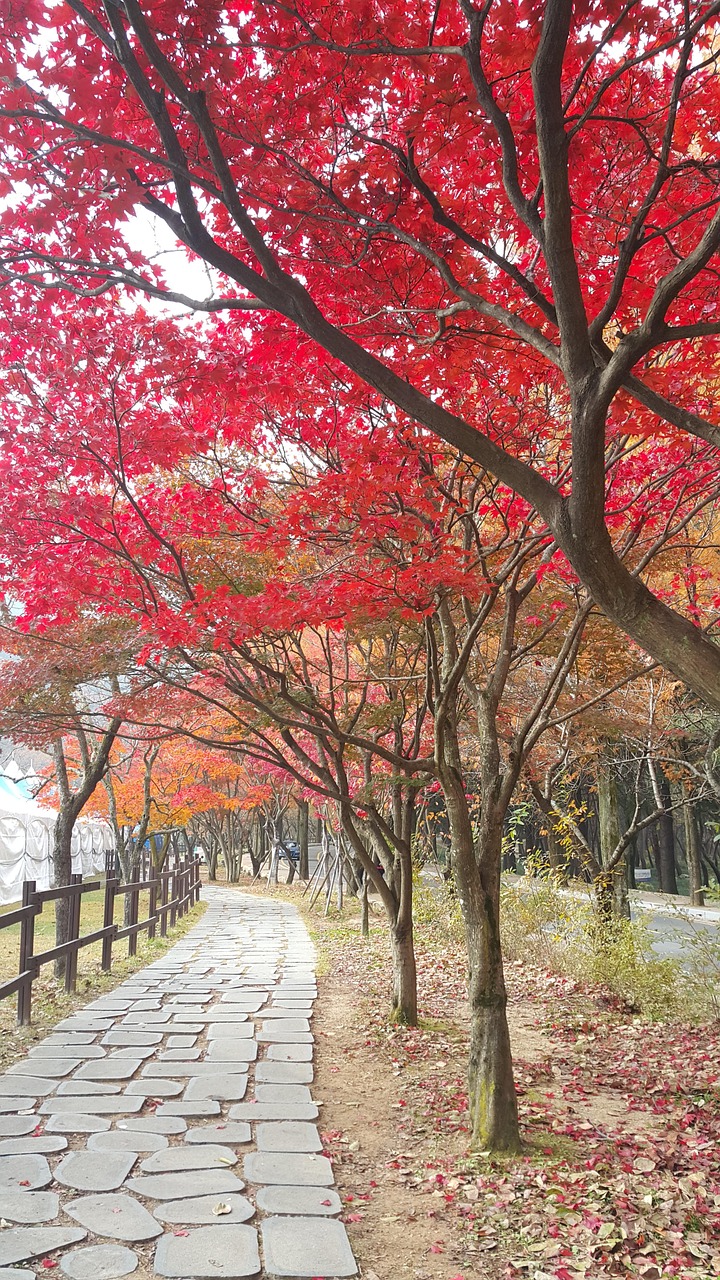 도시 속 느린 산책