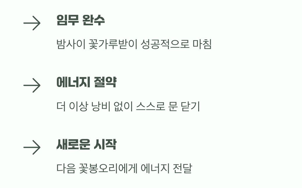 아침이면 시드는 슬픈 운명?