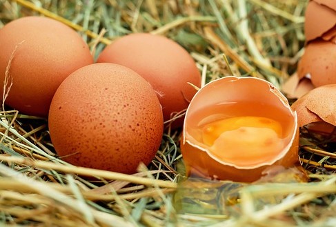 계란효능
