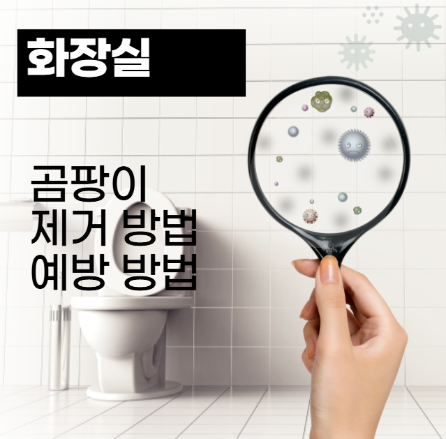 화장실 곰팡이 완벽 제거와 예방 방법